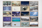 4 Seasons Samsung Frame TV Art – 160 4K Digital Wall Art Set | Autumn, Winter, Spring, Summer Landscape Decor