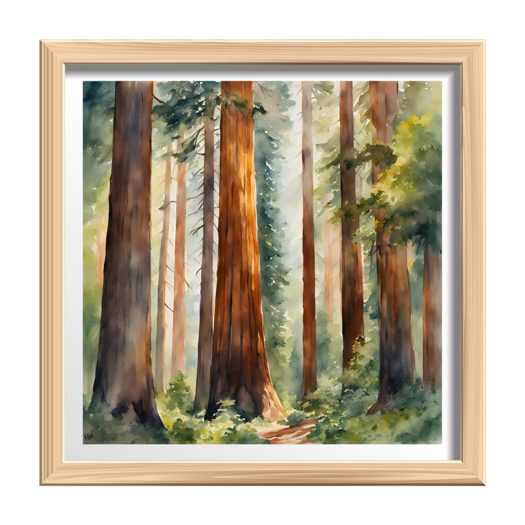 Nature Watercolor Art Printable I Sequoia Forest Wall Decor I Modern Square Home Decor