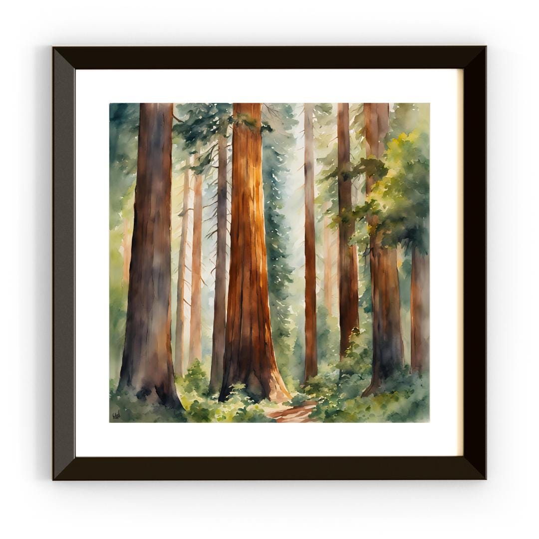 Nature Watercolor Art Printable I Sequoia Forest Wall Decor I Modern Square Home Decor