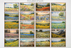 Frame TV Wildflower Landscape Art • Set of 40 Digital Downloads • Samsung Frame TV Spring Art Bundle in 4K/8K
