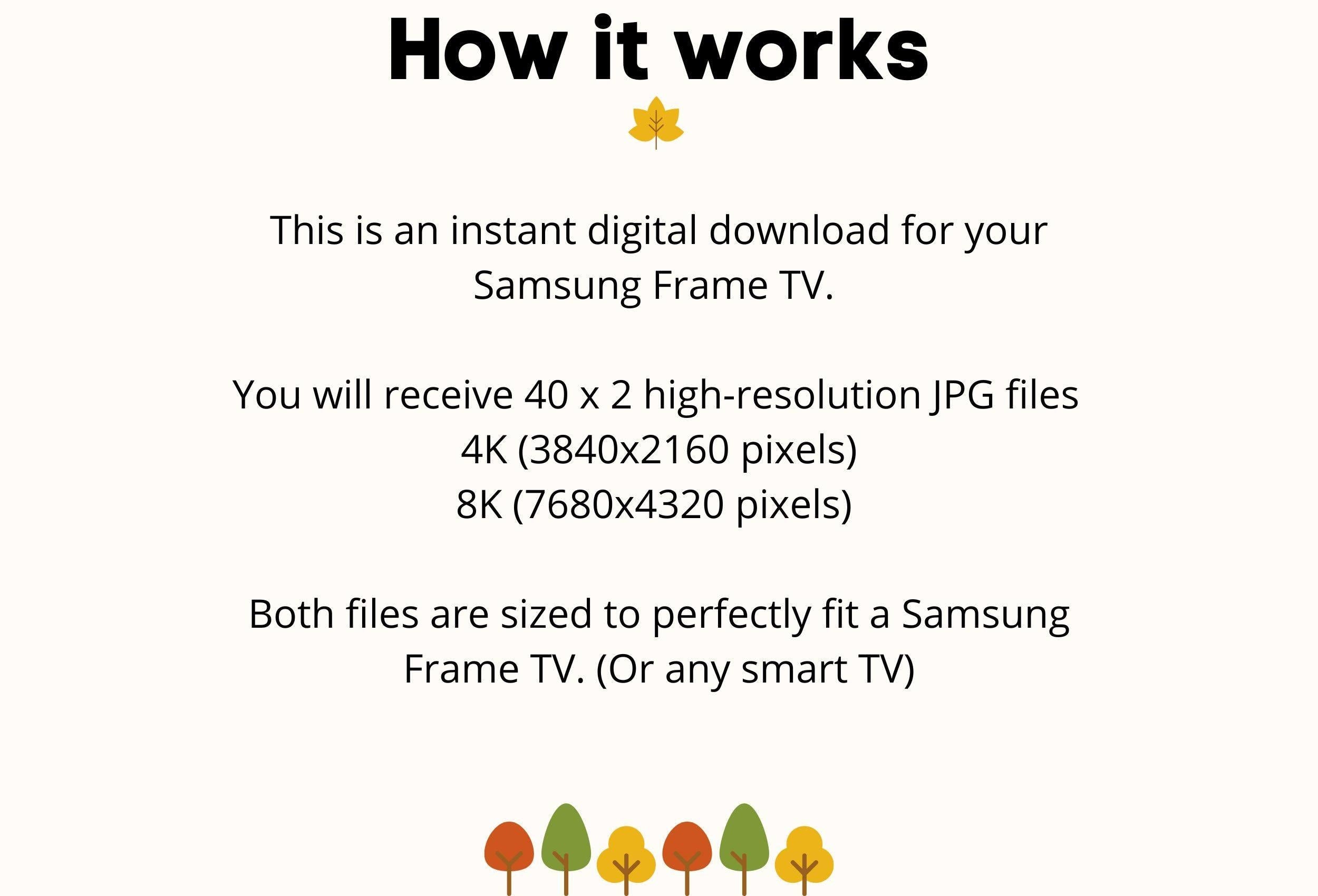 Frame TV Wildflower Landscape Art • Set of 40 Digital Downloads • Samsung Frame TV Spring Art Bundle in 4K/8K