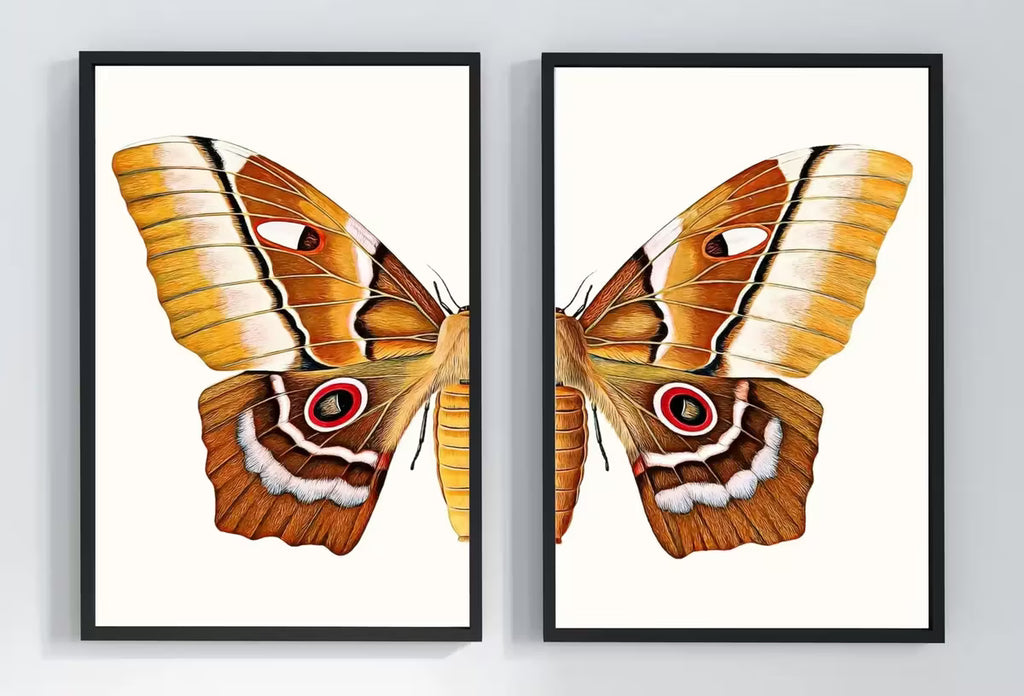 Insect Print, Moth Butterfly Print, Butterfly Set of 2 Prints – Printable Wall Art Set