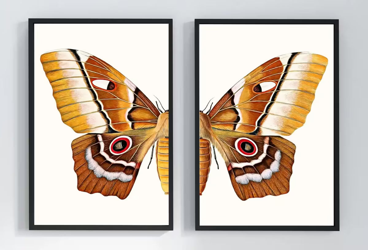 Insect Print, Moth Butterfly Print, Butterfly Set of 2 Prints – Printable Wall Art Set
