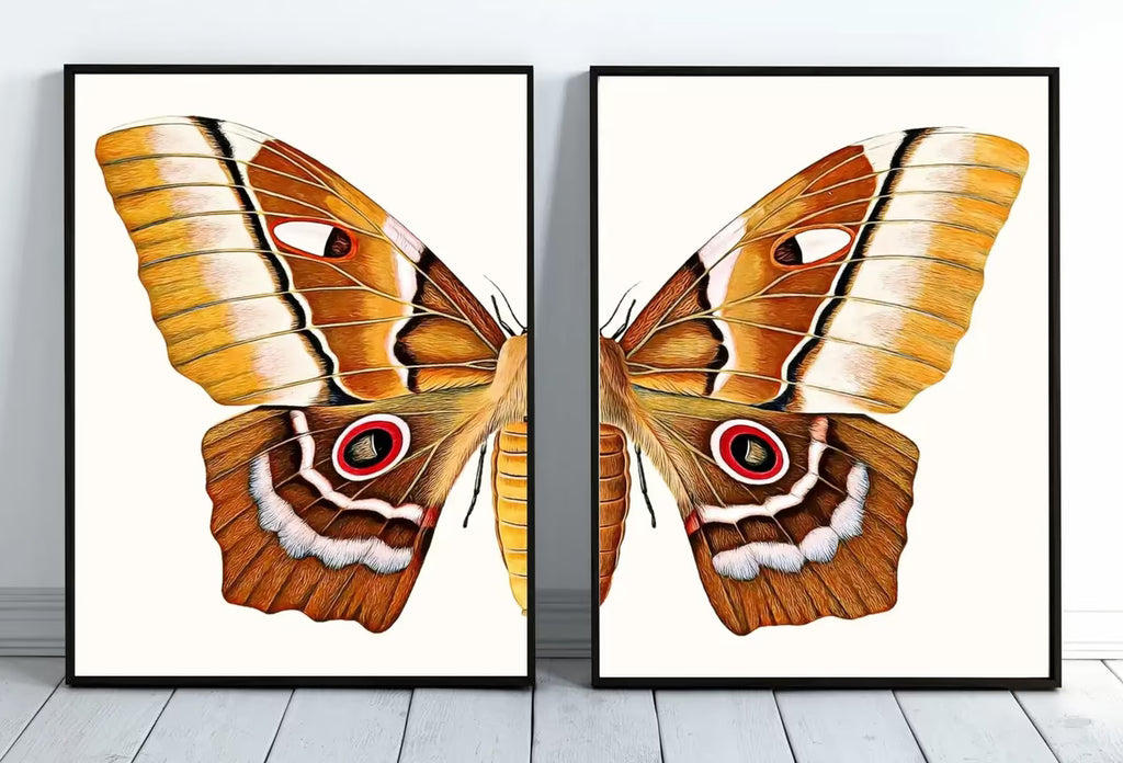 Insect Print, Moth Butterfly Print, Butterfly Set of 2 Prints – Printable Wall Art Set