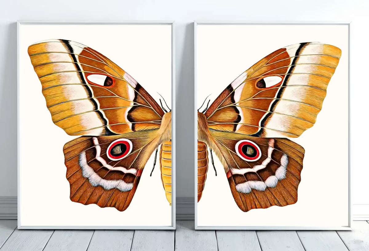 Insect Print, Moth Butterfly Print, Butterfly Set of 2 Prints – Printable Wall Art Set