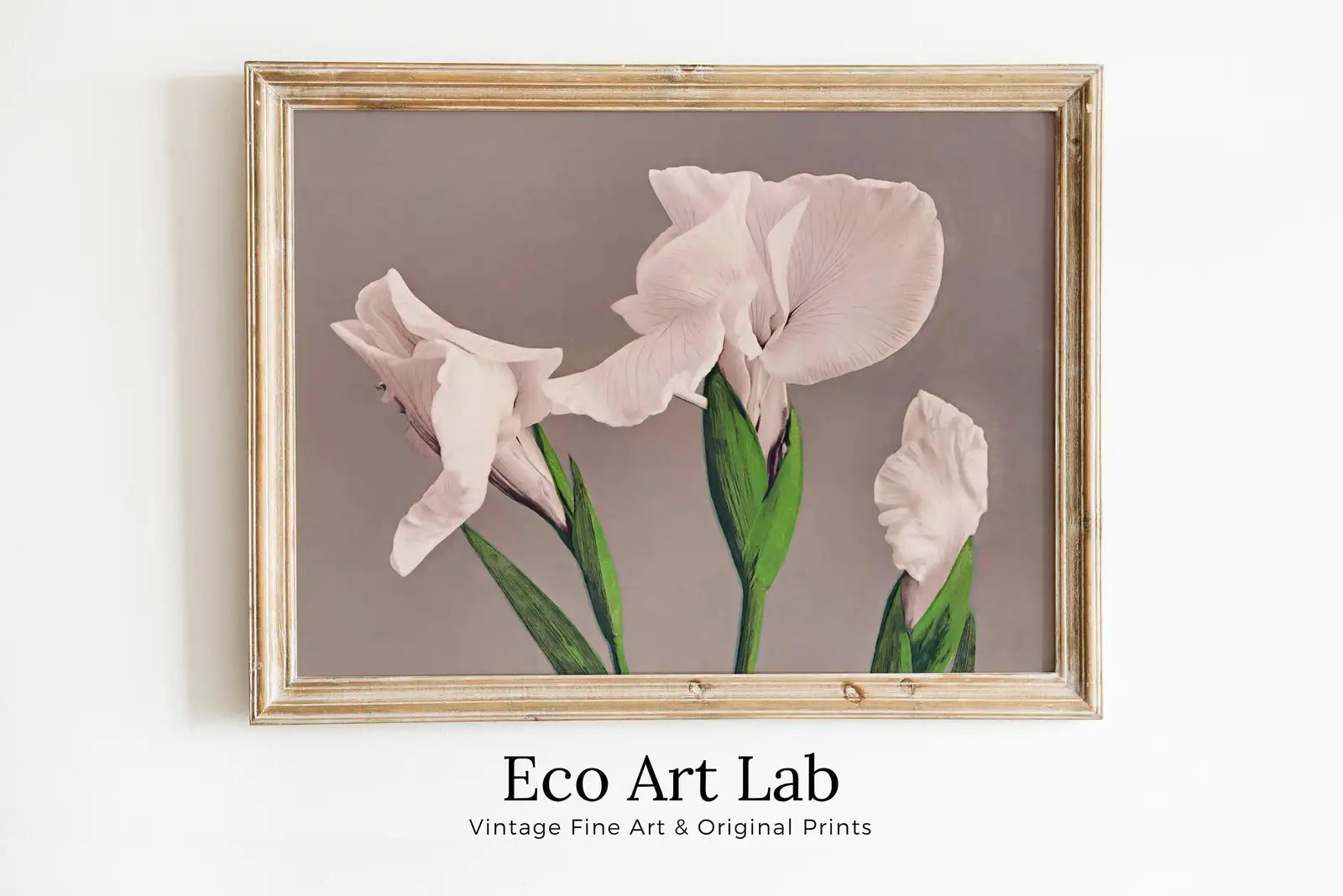Framed view of Japanese Vintage Flower Art White Irises Painting Printable Wall Art. Instant Download Antique Japanese Art. Botanical Print Floral Wall Art – printable wall art digital download.