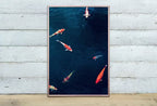 Koi Fish Print, Fish Wall Art Digital Prints, Japanese Print Instant Download Printable Wall Art, Photography Print, Zen Wall Art – Printable Wall Art