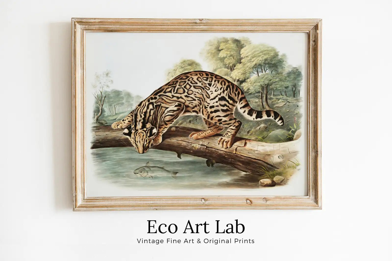 Framed view of Leopard-Cat Wall Art Vintage Painting. Vintage Animal Print. Ocelot Printable Wall Art, Digital Download. Digital Painting. Nature Art Print – printable wall art digital download.