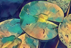 Second included artwork preview from Lotus Flower Art featuring various scenes. (variation 12)