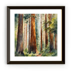 Framed view of Nature Watercolor Art Printable I Sequoia Forest Wall Decor I Modern Square Home Decor – printable wall art digital download.
