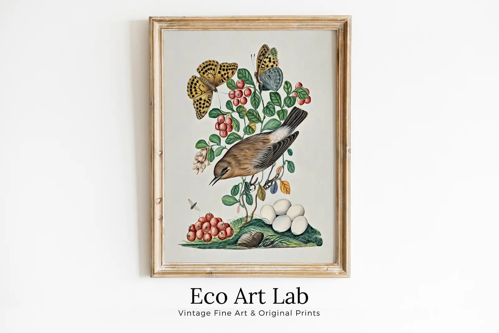Framed view of Northern Wheatear and Berries Wall Art Poster. Vintage Botanical Print, Bird Art Nature Decor Flower Market Print Digital Printable Wall Art – printable wall art digital download.