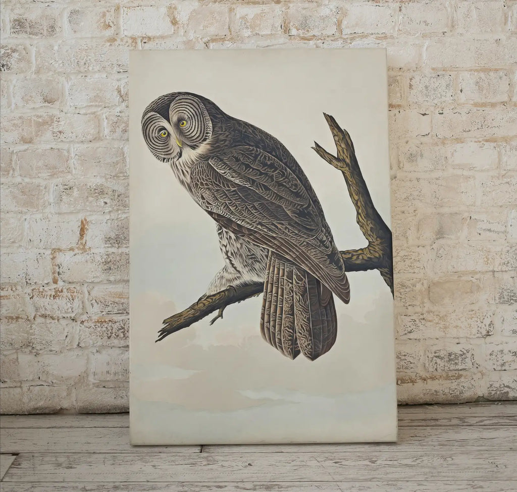 Detail view of artwork from Owl Painting Vintage Illustration Art Poster. Instant Download Owl on Tree Branch Owl Print. Printable Owl Art. Antique Owl Painting. (variation 1)