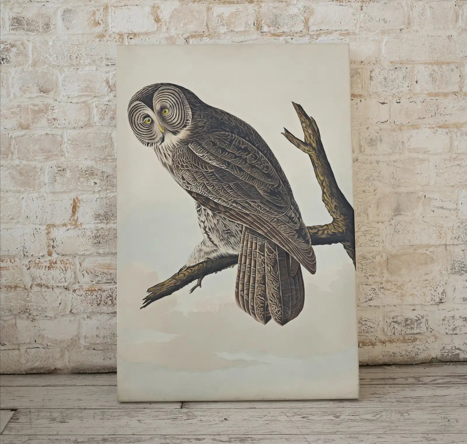 Detail view of artwork from Owl Painting Vintage Illustration Art Poster. Instant Download Owl on Tree Branch Owl Print. Printable Owl Art. Antique Owl Painting. (variation 1)