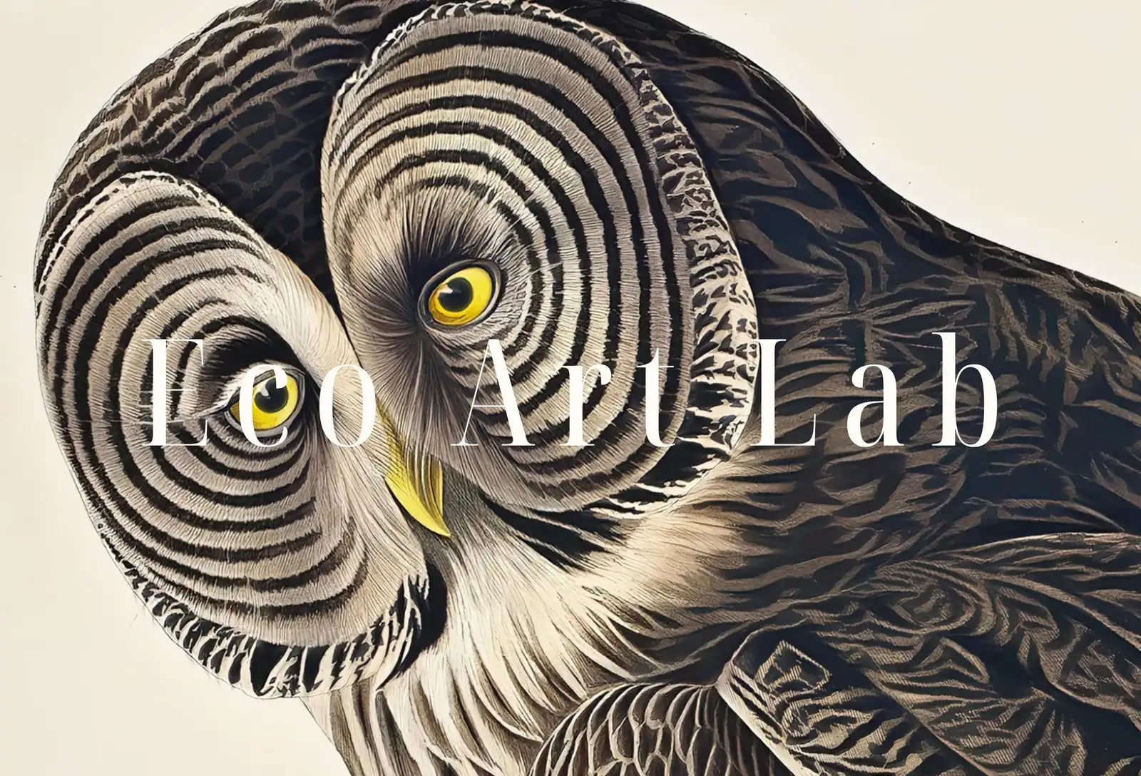 Second included artwork preview from Owl Painting Vintage Illustration Art Poster. Instant Download Owl on Tree Branch Owl Print. Printable Owl Art. Antique Owl Painting featuring various scenes.