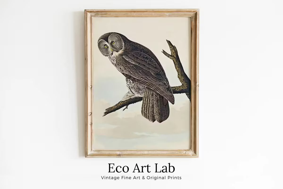 Owl Painting Vintage Illustration Art Poster. Instant Download Owl on Tree Branch Owl Print. Printable Owl Art. Antique Owl Painting – Printable Wall Art