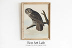 Framed view of Owl Painting Vintage Illustration Art Poster. Instant Download Owl on Tree Branch Owl Print. Printable Owl Art. Antique Owl Painting – printable wall art digital download.