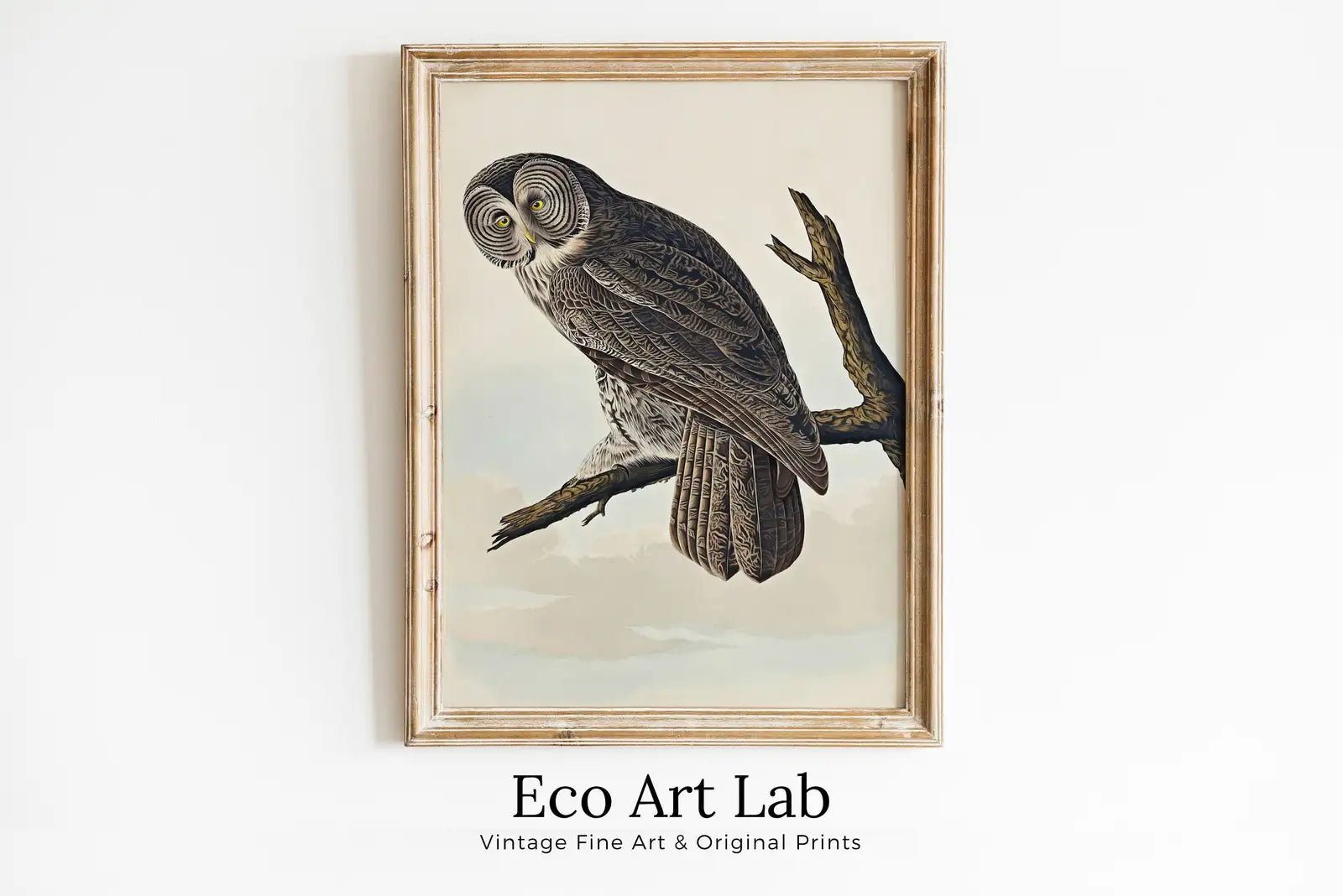 Framed view of Owl Painting Vintage Illustration Art Poster. Instant Download Owl on Tree Branch Owl Print. Printable Owl Art. Antique Owl Painting – printable wall art digital download.