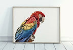 Parrot Printable Wall Art, Tropical Bird Digital Painting, Instant Download Exotic Poster Scarlet Macaw Print – Printable Wall Art