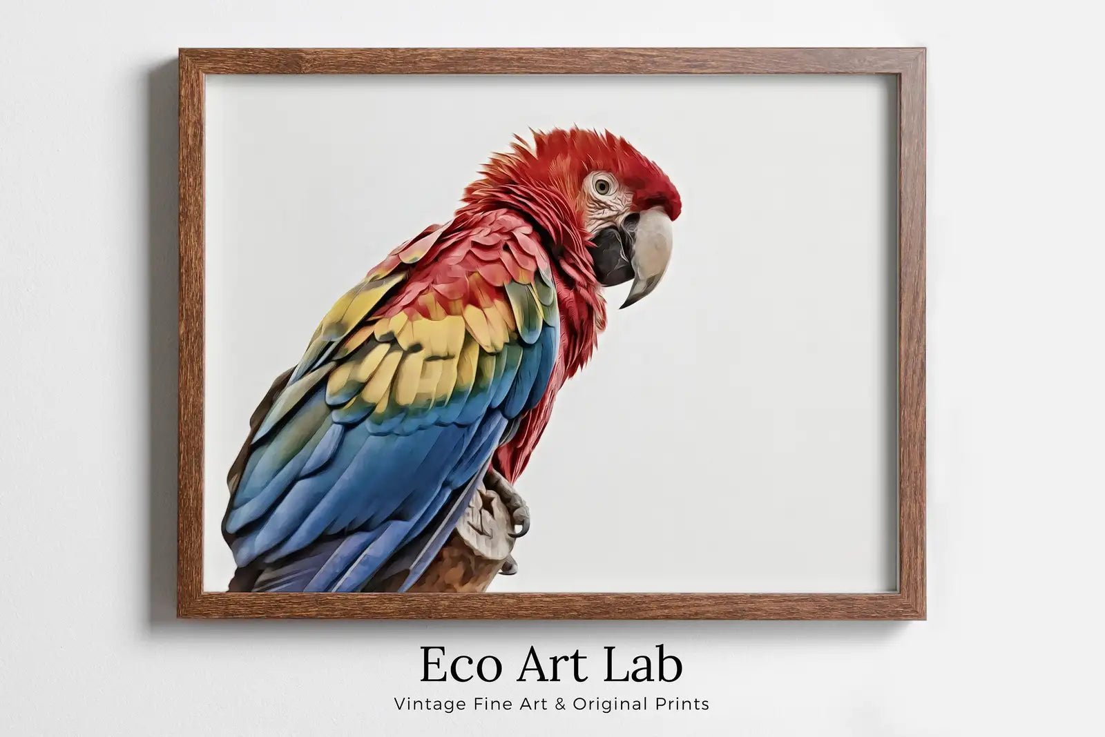 Framed view of Parrot Printable Wall Art, Tropical Bird Digital Painting, Instant Download Exotic Poster Scarlet Macaw Print – printable wall art digital download.