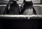 Penguins in Tub Printable Wall Art | Black & White Penguin Photo | Printable | Bathroom Art Print | Penguin Art |  #04 – Printable Wall Art