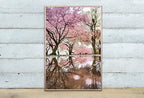 Pink Blossom Trees Reflection Printable Wall Art. Cherry Blossom Tree Floral Wall Art Print. Pink Wall Art Floral Poster Botanical Art – Printable Wall Art