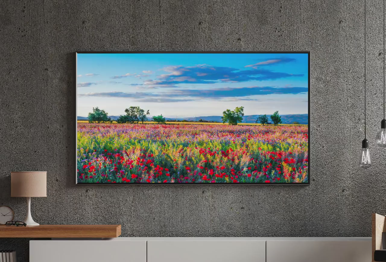 4 Seasons Samsung Frame TV Art – 160 4K Digital Wall Art Set | Autumn, Winter, Spring, Summer Landscape Decor