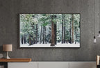 Set of 15 Samsung Frame TV 4K Art. Winter Wall Art Nature Digital Collection. Winter Snow Decor TV Art Set. Instant Download Frame TV Art.