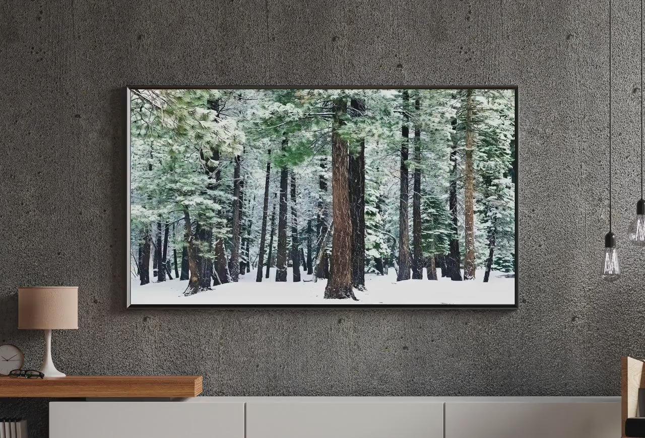 Set of 15 Samsung Frame TV 4K Art. Winter Wall Art Nature Digital Collection. Winter Snow Decor TV Art Set. Instant Download Frame TV Art.