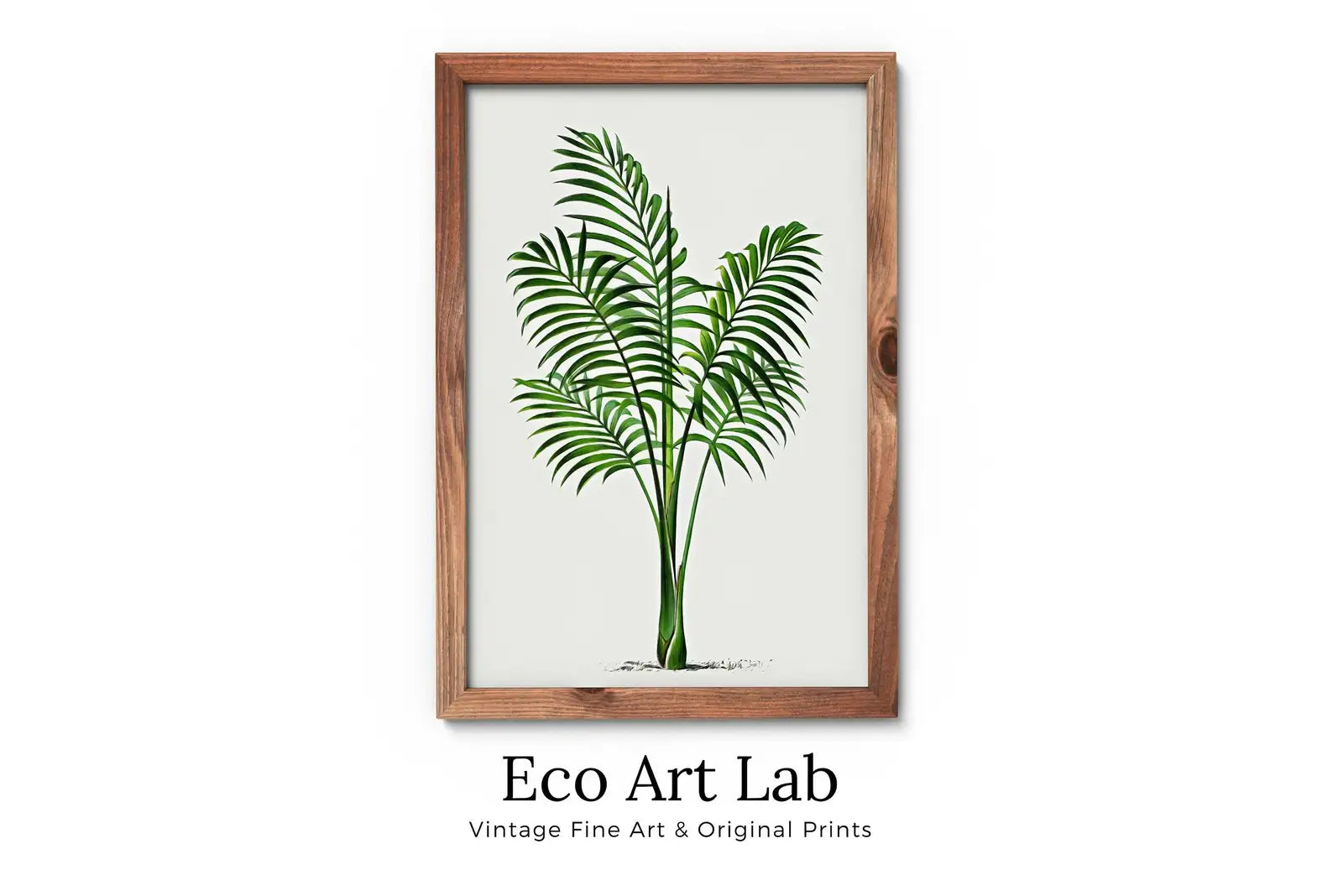 Printable Vintage Palm Tree Art. Instant Download Botanical Wall Art Print. Vintage Tropical Poster. Palm Trees Digital Nature Print  #21 – Printable Wall Art Digital Download – Digital Download