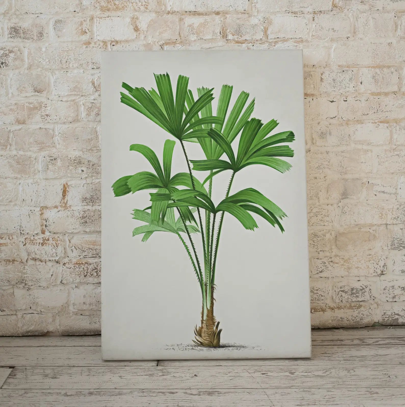 Second included artwork preview from Printable Vintage Palm Tree Art. Instant Download Botanical Wall Art Print. Vintage Tropical Poster. Palm Trees Digital Nature Print #24 featuring various scenes.