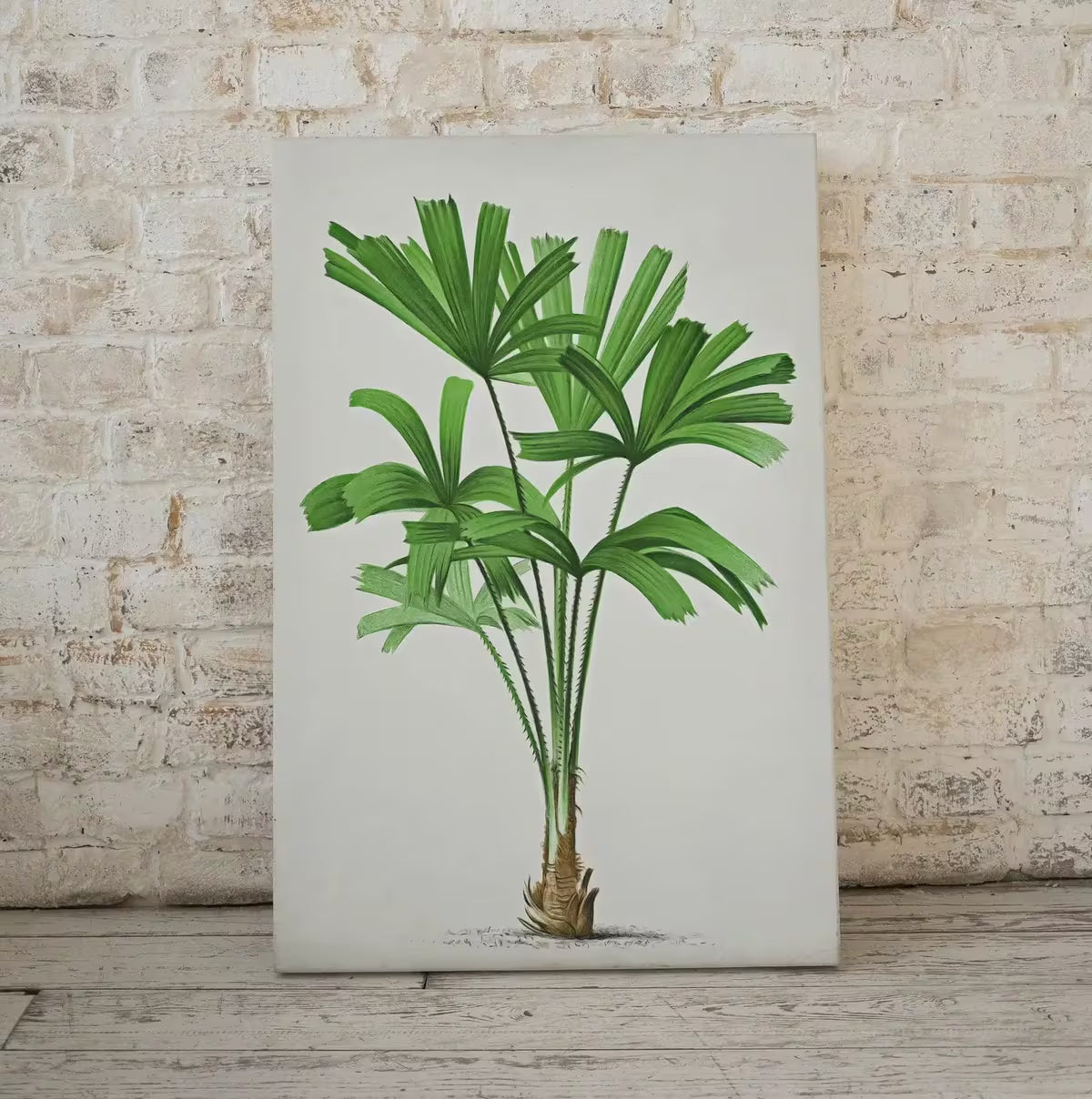 Printable Vintage Palm Tree Art. Instant Download Botanical Wall Art Print. Vintage Tropical Poster. Palm Trees Digital Nature Print #24 – Printable Wall Art