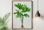 Detail view of artwork from Printable Vintage Palm Tree Art. Instant Download Botanical Wall Art Print. Vintage Tropical Poster. Palm Trees Digital Nature Print #24. (variation 1)