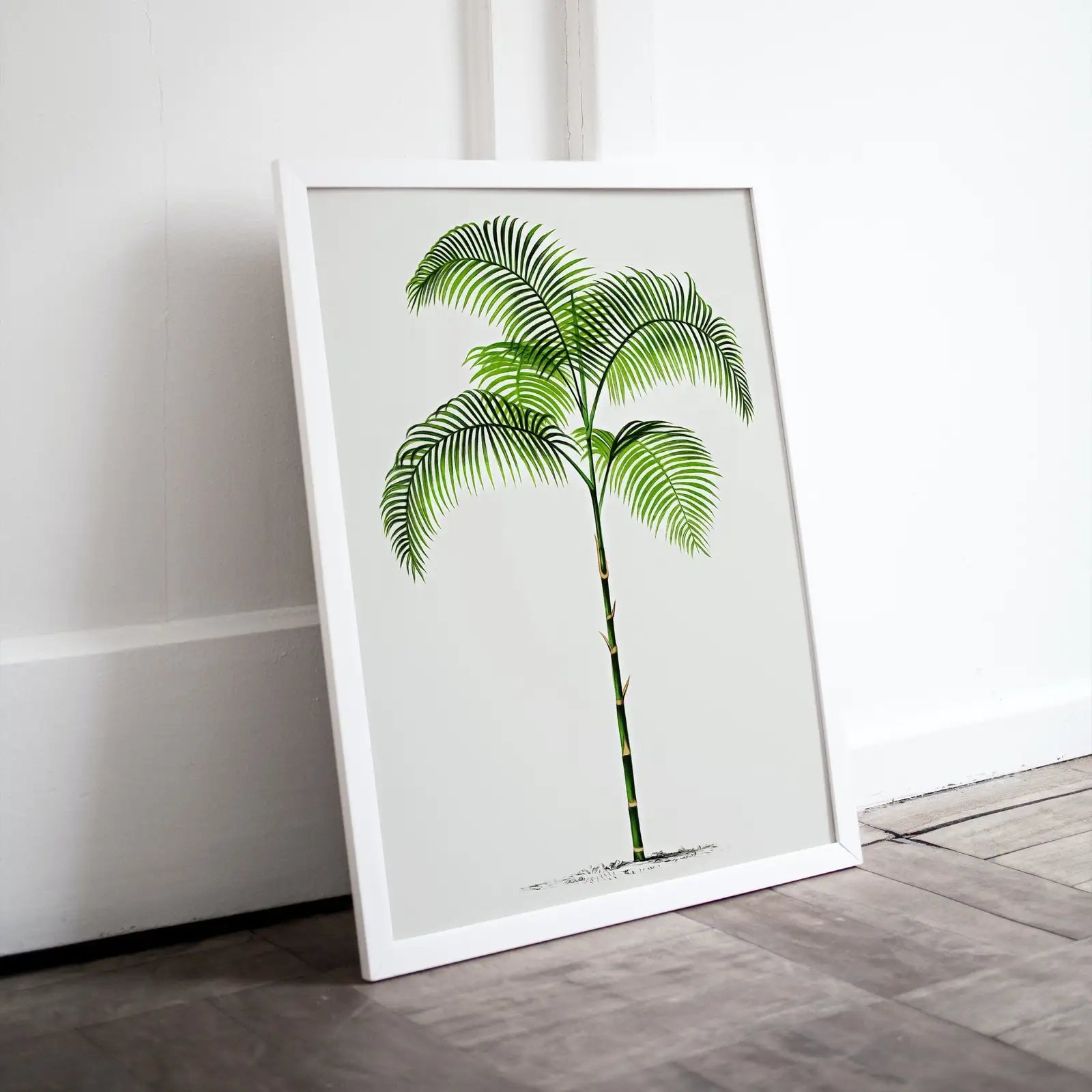 Printable Vintage Palm Tree Art. Instant Download Botanical Wall Art Print. Vintage Tropical Poster. Palm Trees Digital Nature Print #27 – Printable Wall Art Digital Download – Digital Download