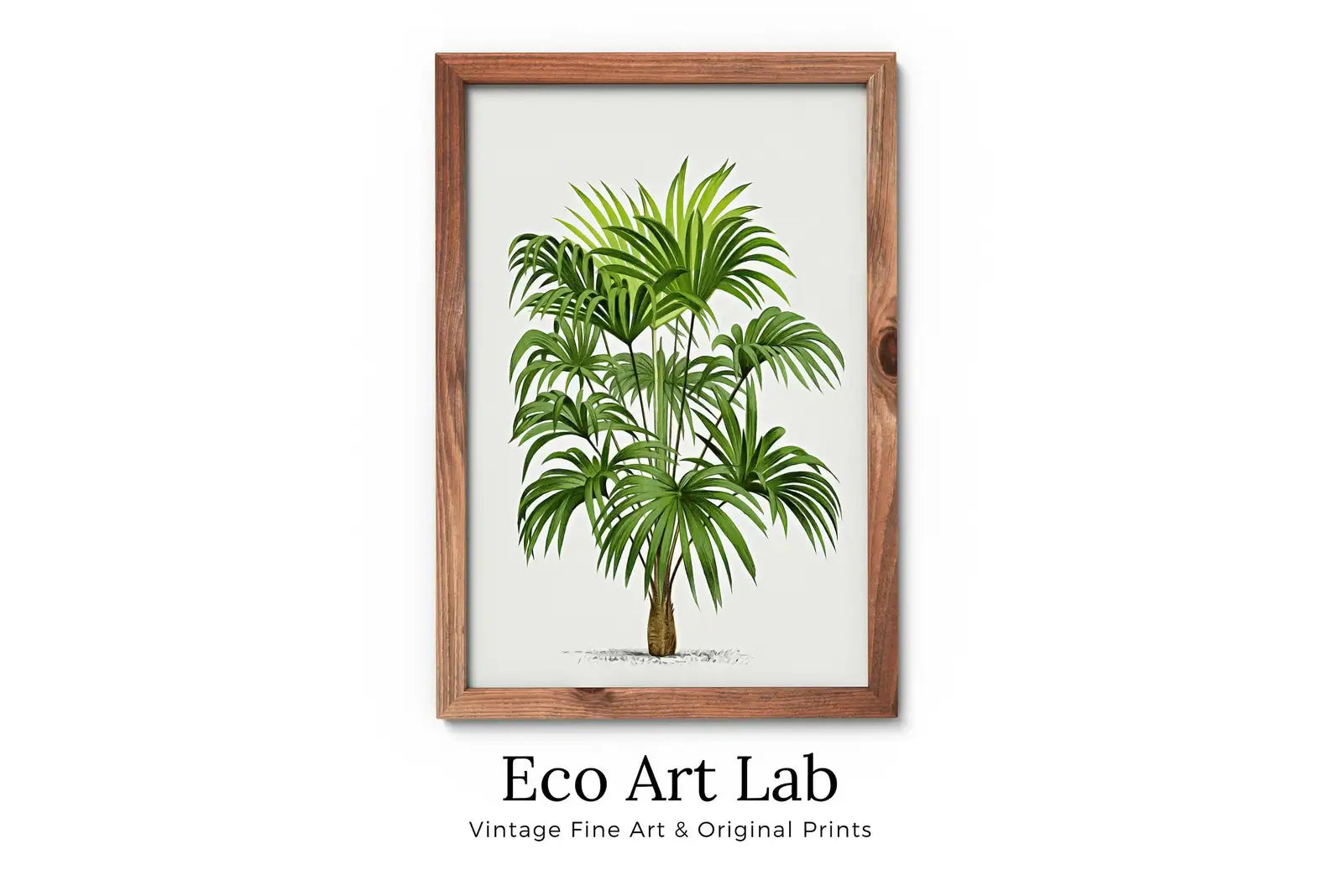 Framed view of Printable Vintage Palm Tree Art. Instant Download Botanical Wall Art Print. Vintage Tropical Poster. Palm Trees Digital Nature Print #30 – printable wall art digital download.