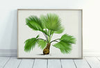 Printable Vintage Palm Tree Art. Instant Download Botanical Wall Art Print. Vintage Tropical Poster. Palm Trees Digital Nature Print #33 – Printable Wall Art