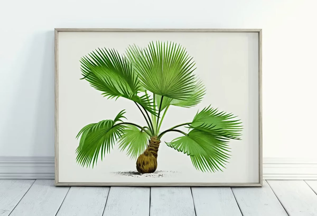 Printable Vintage Palm Tree Art. Instant Download Botanical Wall Art Print. Vintage Tropical Poster. Palm Trees Digital Nature Print #33 – Printable Wall Art
