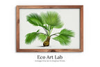 Framed view of Printable Vintage Palm Tree Art. Instant Download Botanical Wall Art Print. Vintage Tropical Poster. Palm Trees Digital Nature Print #33 – printable wall art digital download.