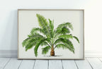 Printable Vintage Palm Tree Art. Instant Download Botanical Wall Art Print. Vintage Tropical Poster Palm Trees Nature Poster Digital Art #06 – Printable Wall Art Digital Download – Digital Download