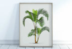 Detail view of artwork from Printable Vintage Palm Tree Art. Instant Download Botanical Wall Art Vintage Tropical Poster. Palm Trees Print Nature Poster Digital Art #12. (variation 1)