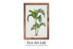 Framed view of Printable Vintage Palm Tree Art. Instant Download Botanical Wall Art Vintage Tropical Poster. Palm Trees Print Nature Poster Digital Art #12 – printable wall art digital download.