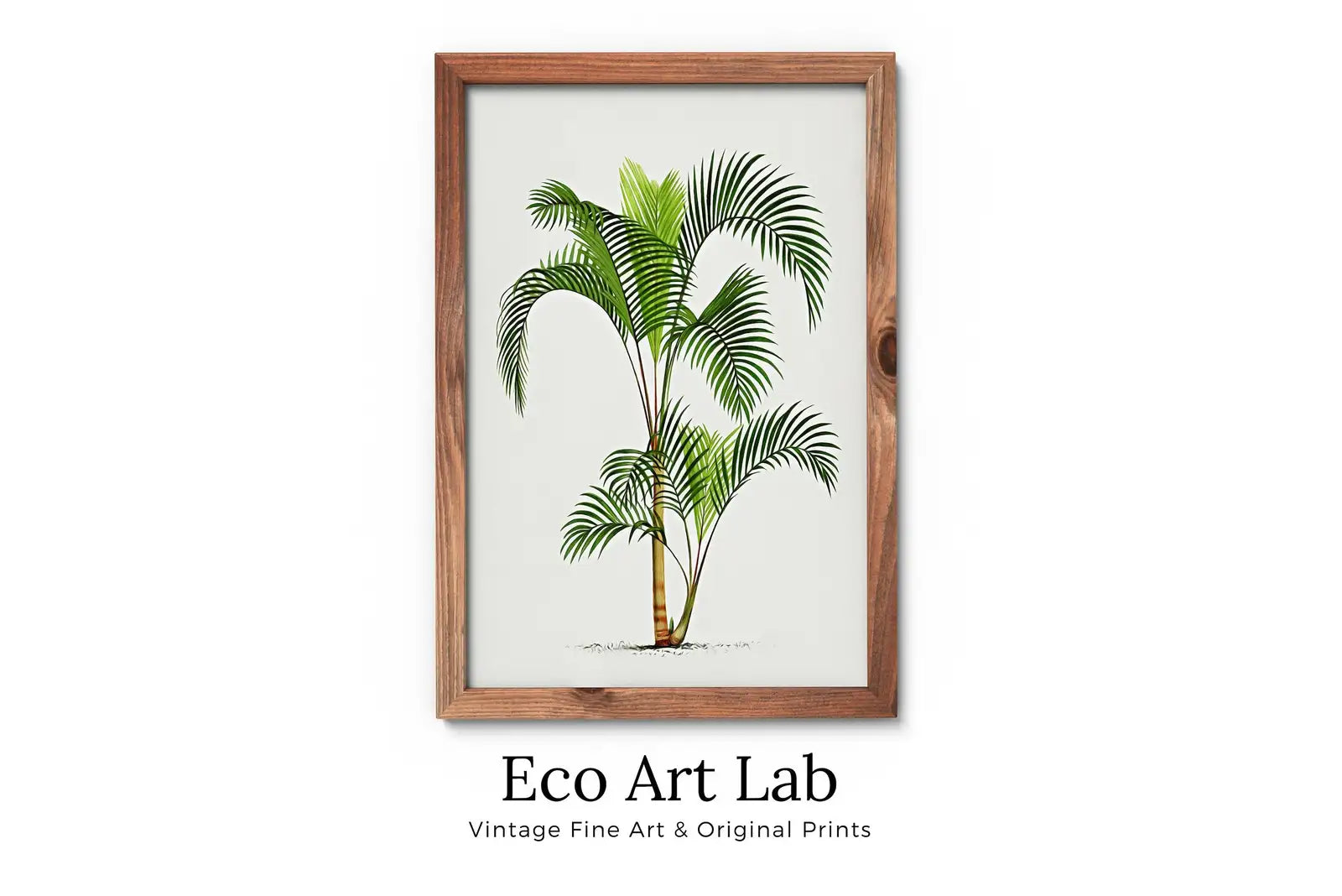 Printable Vintage Palm Tree Art. Instant Download Botanical Wall Art Vintage Tropical Poster. Palm Trees Print Nature Poster Digital Art #12 – Printable Wall Art Digital Download – Digital Download