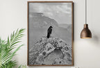 Second included artwork preview from Raven Painting on Rock in Grand Canyon Print. Instant Download Digital Crow Painting Raven Art. Black and White Printable Wall Art Poster featuring various scenes.