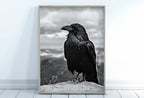 Raven Sitting on Rock Printable Digital Bird Painting. Instant Download Crow Painting Raven Art. Black and White Printable Wall Art Poster – Printable Wall Art