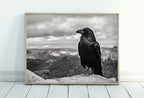 Raven Sitting on Rock Printable Digital Painting. Instant Download Crow Painting Raven Art. Black and White Printable Wall Art Poster – Printable Wall Art