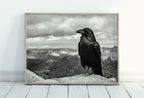 Included artwork preview showing first selection of artworks from Raven Sitting on Rock Printable Digital Painting. Instant Download Crow Painting Raven Art. Black and White Printable Wall Art Poster.
