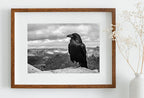 Detail view of artwork from Raven Sitting on Rock Printable Digital Painting. Instant Download Crow Painting Raven Art. Black and White Printable Wall Art Poster. (variation 1)
