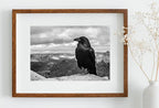 Raven Sitting on Rock Printable Digital Painting. Instant Download Crow Painting Raven Art. Black and White Printable Wall Art Poster – Printable Wall Art