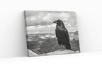Detail view of artwork from Raven Sitting on Rock Printable Digital Painting. Instant Download Crow Painting Raven Art. Black and White Printable Wall Art Poster. (variation 2)
