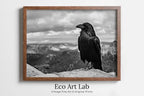 Framed view of Raven Sitting on Rock Printable Digital Painting. Instant Download Crow Painting Raven Art. Black and White Printable Wall Art Poster – printable wall art digital download.