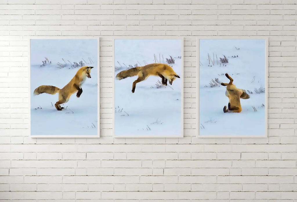 Detail view of artwork from Red Fox Hunting in Snow Set of 3 Prints, Fox Wall Art, Jumping Fox Painting, Set of Three Prints, Gallery Wall Set, Downloadable Prints. (variation 1)